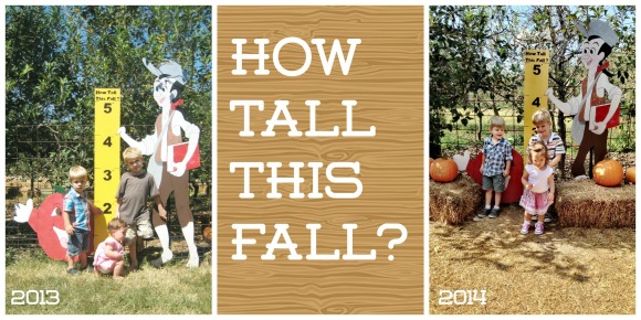 10 Activities to Welcome Fall - How Tall This Fall? Take a yearly picture at your local apple orchard.